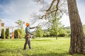 Best Tree Trimming and Pruning  in Sunnyside, WA